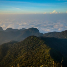 10380762_730638597031085_3735150695454461187_n 10380762_730638597031085_3735150695454461187_n