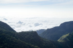 srilanka-1133