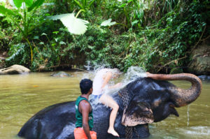 srilanka-537