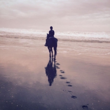 6872_10206171456472440_3143885124767490219_n 6872_10206171456472440_3143885124767490219_n