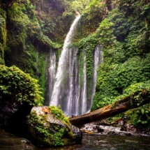 14502732_1120821488012792_2905197615319020912_n (1) 14502732_1120821488012792_2905197615319020912_n (1)