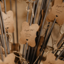 svatba_lucka a marek (1 of 1)-204 svatba_lucka a marek (1 of 1)-204