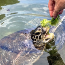 027B4685-2021-44B0-9CFE-2DFCD7887906 027B4685-2021-44B0-9CFE-2DFCD7887906