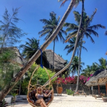 1170D182-1A5D-4A7D-96CE-2FF3E4D61AB0 1170D182-1A5D-4A7D-96CE-2FF3E4D61AB0