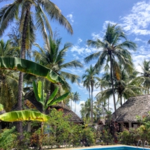 14A6CA54-7F8F-4C55-8085-770D1B7960B8 14A6CA54-7F8F-4C55-8085-770D1B7960B8