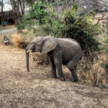 18F5C5D3-4757-47AB-BAC7-887CF1B2427E 18F5C5D3-4757-47AB-BAC7-887CF1B2427E