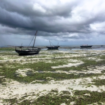 1D90E0C8-D485-4B46-B972-20A41637F393 1D90E0C8-D485-4B46-B972-20A41637F393