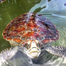 2111F1B8-B8AD-49E5-9598-91810064DB6C 2111F1B8-B8AD-49E5-9598-91810064DB6C