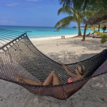 236171A0-7B86-4517-9ACC-0A0EFFA627C6 236171A0-7B86-4517-9ACC-0A0EFFA627C6