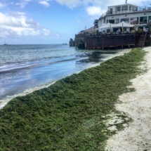 29129B63-B598-49A1-A18B-98D99A64C48F 29129B63-B598-49A1-A18B-98D99A64C48F