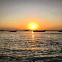 2E1ED4CC-D56A-49F2-83CA-0A58DB56E501 2E1ED4CC-D56A-49F2-83CA-0A58DB56E501