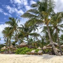 396ED863-4FA2-4A83-A413-BB80D26141AA 396ED863-4FA2-4A83-A413-BB80D26141AA