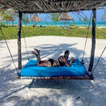 397C92C9-A353-4E2A-AF40-CC6AE3508144 397C92C9-A353-4E2A-AF40-CC6AE3508144