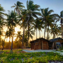 3B7AA1B1-33A5-4F71-8CF1-26CF85167806 3B7AA1B1-33A5-4F71-8CF1-26CF85167806