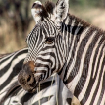 3F4EE319-5ABE-40B7-BF5B-90CE60719841 3F4EE319-5ABE-40B7-BF5B-90CE60719841