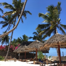 7294D2F8-ECA5-46C4-B8E4-B7A3FBE4C58D 7294D2F8-ECA5-46C4-B8E4-B7A3FBE4C58D