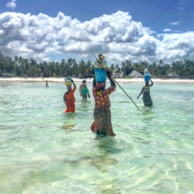 7E033522-EAD1-4D3F-BCCA-A8558F4D98F5 7E033522-EAD1-4D3F-BCCA-A8558F4D98F5