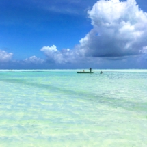 8DE5B469-0A19-41E4-B47D-CC7EA353DF89 8DE5B469-0A19-41E4-B47D-CC7EA353DF89