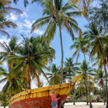 950864AA-3607-4E8A-85D6-AFF56FC301C4 950864AA-3607-4E8A-85D6-AFF56FC301C4