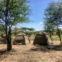 9AC80B92-387E-4BF4-A4A7-2B2051CA6405 9AC80B92-387E-4BF4-A4A7-2B2051CA6405