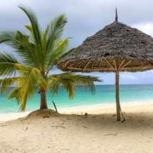 ADB1F8DE-7FFF-4D29-A78B-1E287577F57D ADB1F8DE-7FFF-4D29-A78B-1E287577F57D