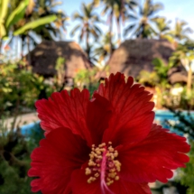 BB665043-63FD-4F8D-8C2A-BA3F18B624D7 BB665043-63FD-4F8D-8C2A-BA3F18B624D7