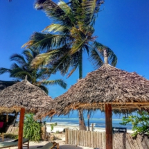 CA99D4E7-B01A-4D35-99DB-F4A32C1CD0CA CA99D4E7-B01A-4D35-99DB-F4A32C1CD0CA