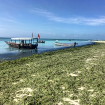 D310EF4F-5F9C-48AC-B44C-910C57F4FB61 D310EF4F-5F9C-48AC-B44C-910C57F4FB61