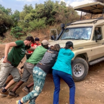 D584C399-BE62-480D-8E21-692C31737F3D D584C399-BE62-480D-8E21-692C31737F3D