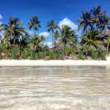 F2B50632-E784-496B-A064-5F047D3FCB0D F2B50632-E784-496B-A064-5F047D3FCB0D