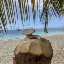 F432DEAF-30E9-48F3-8162-9CDD1F1BB47B F432DEAF-30E9-48F3-8162-9CDD1F1BB47B