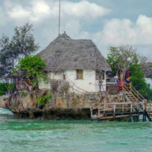 F7F8F79F-E954-412E-A1E5-2838FB9B677E F7F8F79F-E954-412E-A1E5-2838FB9B677E