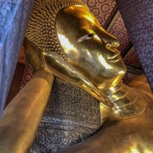 0A19A829-CE74-4BEE-82B1-B5B89EEEFCEE 0A19A829-CE74-4BEE-82B1-B5B89EEEFCEE