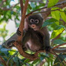 10E8D654-18C6-46D2-B54F-F073D270B0D0 10E8D654-18C6-46D2-B54F-F073D270B0D0