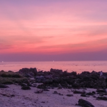 1AE2D8EC-B44F-4F21-8AE5-8CD12C78C561 1AE2D8EC-B44F-4F21-8AE5-8CD12C78C561