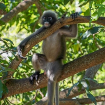 2E767185-1E72-4BBE-8398-761C25D290D8 2E767185-1E72-4BBE-8398-761C25D290D8