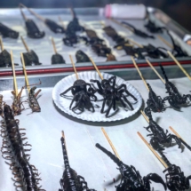 2F497CF6-2F44-49E9-B48D-0CD4087669CD 2F497CF6-2F44-49E9-B48D-0CD4087669CD