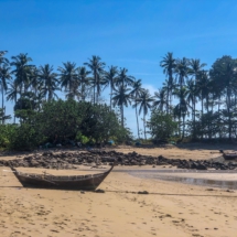 3C36971D-867E-47C8-BF93-25E5A41F0344 3C36971D-867E-47C8-BF93-25E5A41F0344