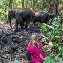 40BF1D14-7E6E-4045-9050-DF063395ED28 40BF1D14-7E6E-4045-9050-DF063395ED28