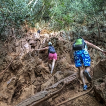 4A499C7F-8EDF-4878-827C-665E76AA8B7C 4A499C7F-8EDF-4878-827C-665E76AA8B7C