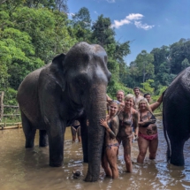 5DA12A34-6F4E-4CA2-84A1-053CC9BA477F 5DA12A34-6F4E-4CA2-84A1-053CC9BA477F