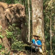 6274BE8D-E71F-4FF7-A8B8-DDC9042E3DF4 6274BE8D-E71F-4FF7-A8B8-DDC9042E3DF4