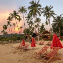 67F6FED2-E277-446E-9CD7-B168C8374151 67F6FED2-E277-446E-9CD7-B168C8374151