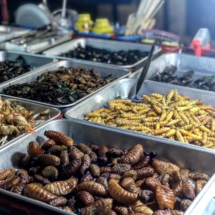 717ECC5E-5A2F-49B6-8B82-8BE0DF239A45 717ECC5E-5A2F-49B6-8B82-8BE0DF239A45