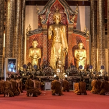 72741D61-DA2D-4859-8848-CC6BE4962446 72741D61-DA2D-4859-8848-CC6BE4962446