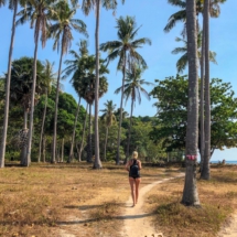 83158216-40A5-42C6-ADF1-EABDFDA6CAA6 83158216-40A5-42C6-ADF1-EABDFDA6CAA6