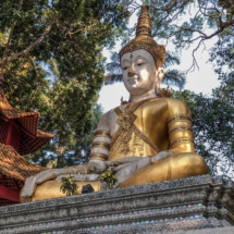 971AE014-73C4-491E-A03A-924F738A163B 971AE014-73C4-491E-A03A-924F738A163B