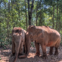 A8D4F55E-CC33-4485-9BE3-7F5C568842C4 A8D4F55E-CC33-4485-9BE3-7F5C568842C4