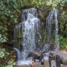 C5706F4E-AE00-4BE1-A21B-823F89DF1C08 C5706F4E-AE00-4BE1-A21B-823F89DF1C08