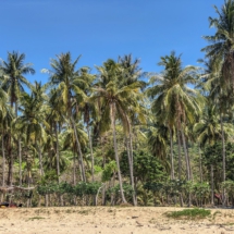 EE3F621E-4863-435B-B781-8C84FBAFE5B7 EE3F621E-4863-435B-B781-8C84FBAFE5B7